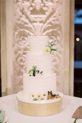 Our wedding cake with our dogs helping themselves to a bite