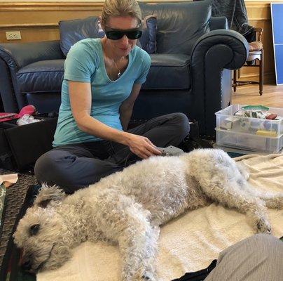 Brother relaxing during acupuncture and LASER therapy!