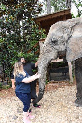 Petting Bubbles' trunk