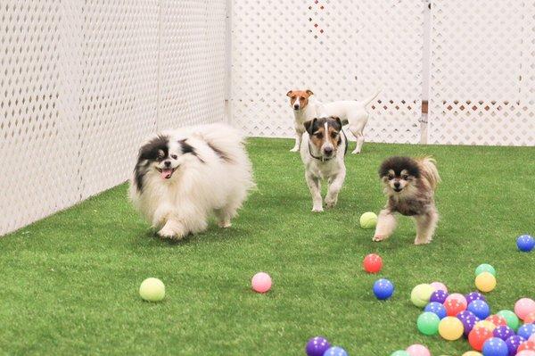 Rainy days don't get us down with our indoor play yard!