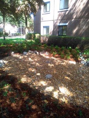 Dry pond at UCF