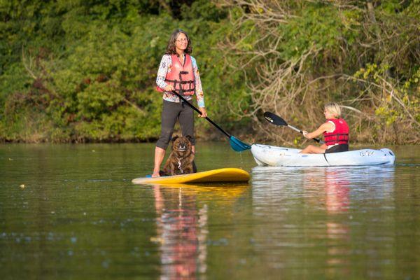 Cruising the Galien River on a stand-up paddleboard -- great for dogs, too!