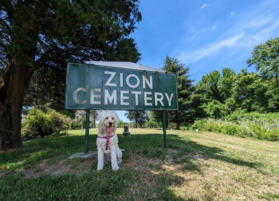 Zion Pet Cemetery offers discounts for certified service dogs.