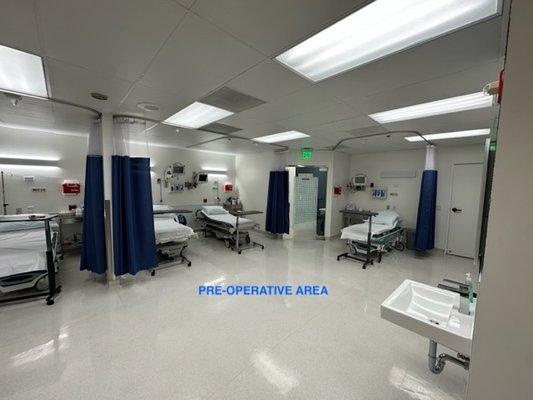 Pre-op Beds