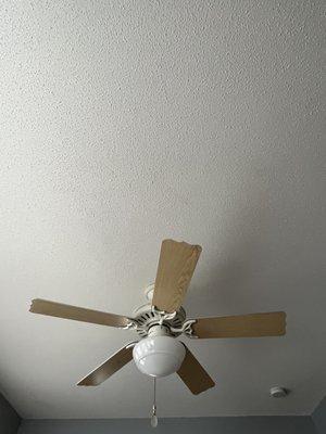 Ceiling fan