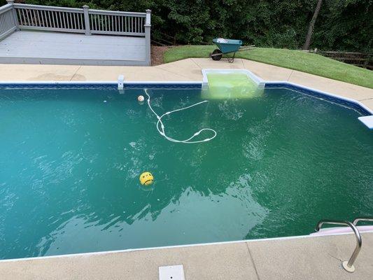 Clearwater Pool Service