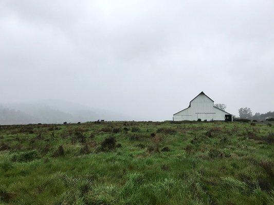 "Barn in Fog", John LeMasters, The College Preparatory School, Oakland. 2019 Community Calendar featuring HS student photography.