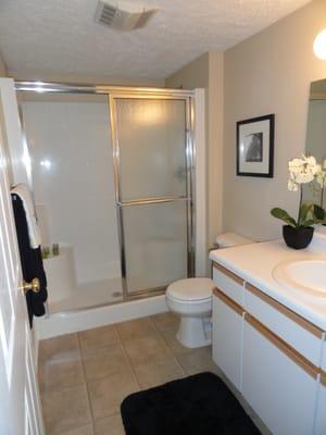 Full Master Bathroom