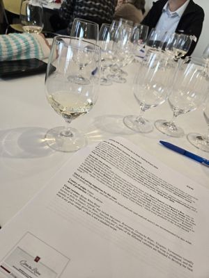 Another start to a year of wine tasting at Moore Brothers Wine Company. Drink and learn! A great combo