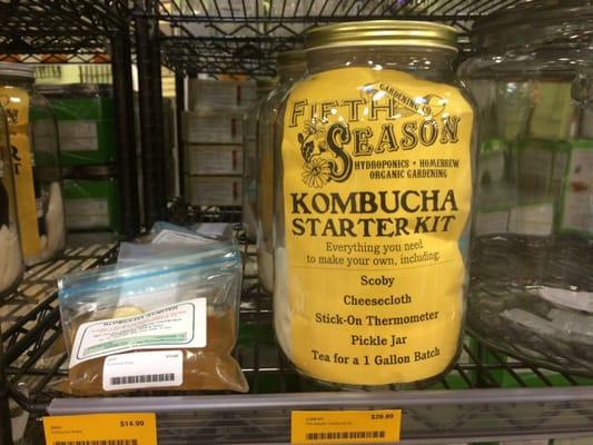 I covets the kombucha kit