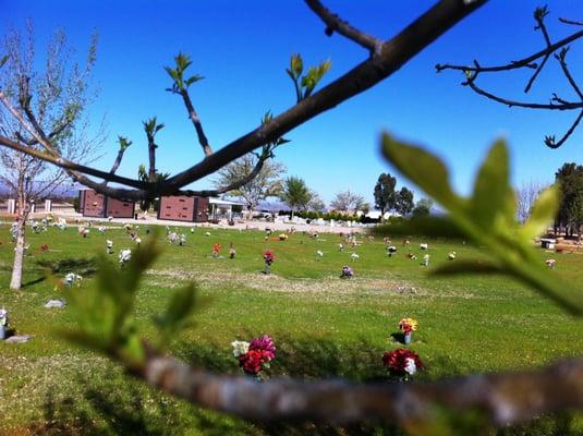 Cochise Memory Gardens