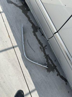 Bumper trim that the manager threw on the ground