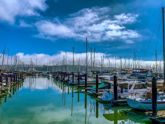 Sausalito Yacht Harbor