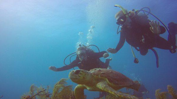 Scuba diving with a loggerhead sea turtle