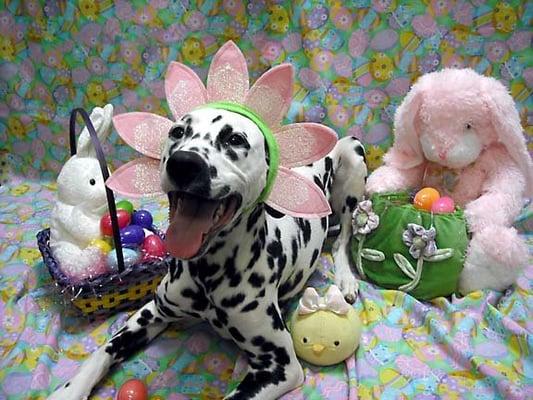 Happy Easter photos really brighten any day at BARK ATL.