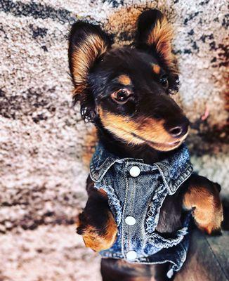 She loved this vest from Emerald Boutique