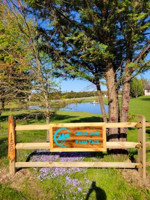 Cedar Lane Farm Tack