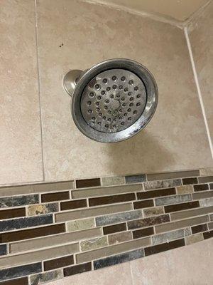 Dirty shower head