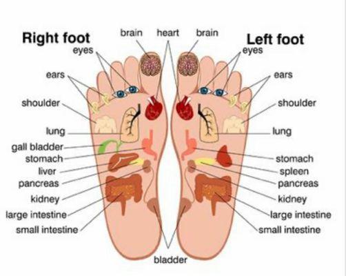 Organ Pressure Points