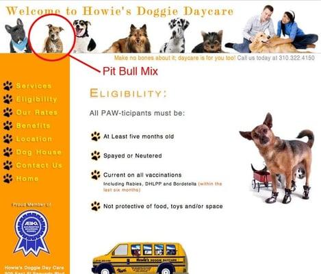 A pit mix is in their website design, even though they don't accept the breed!