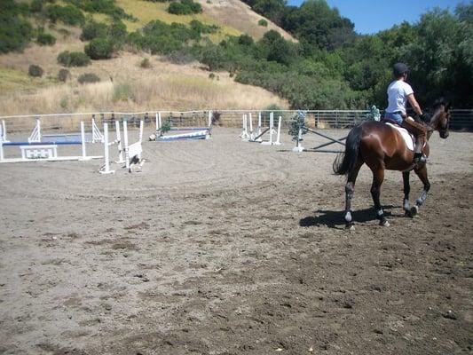 Huge outdoor arena