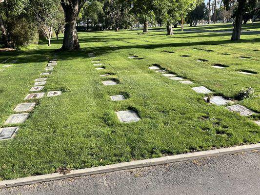 Beautiful cemetery