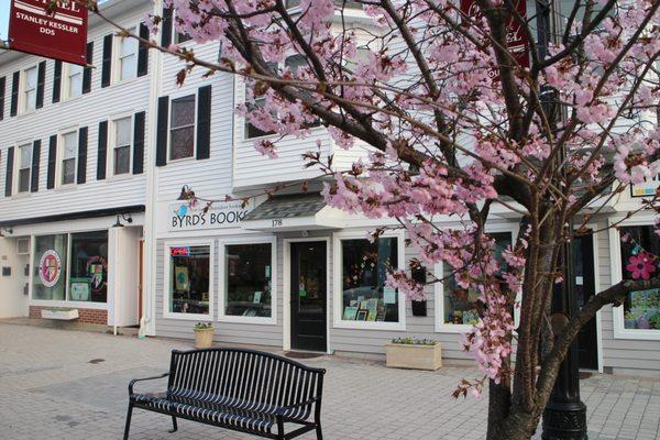 Spring at Byrd's Books (178 Greenwood Ave. Bethel, CT)