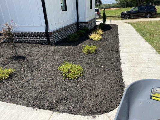 Mulch installation