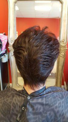 Enhancing Coloring and  Haircutting back by Janice Gropelli Cazzazi