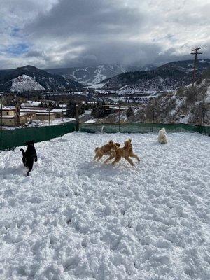 Winter yard fun!