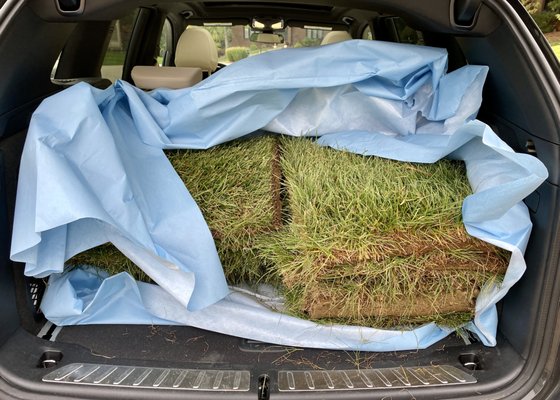 Sod in my SUV