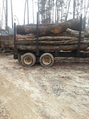 logging truck