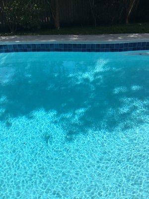 Refinished 35 year old pool.