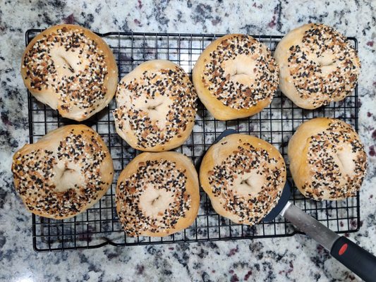 Everything Sourdough Bagels