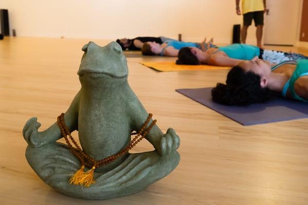 Laughing Frog Yoga