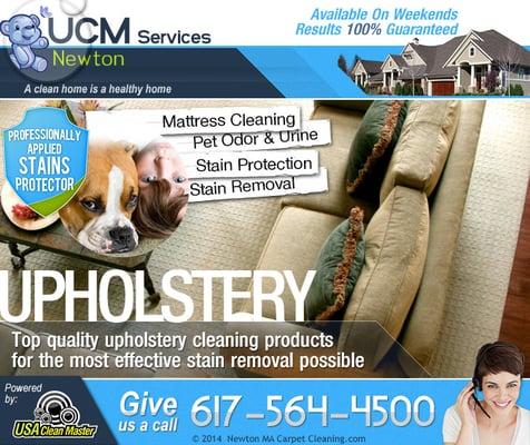 Upholstery Cleaning Service