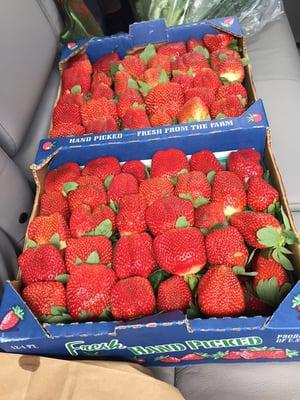 Flat of strawberries ($20)