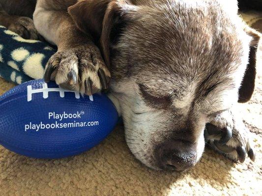 Office Mascot Playing ball!!