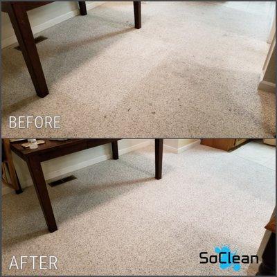 SoClean Services