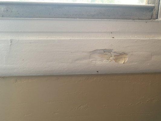 rotting window sill that was pointed out at move in and never fixed in the bedroom