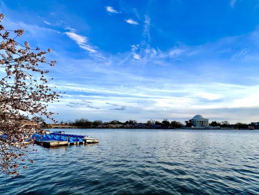 Tidal Basin