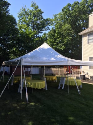 20 x 20 Pole tent 32  guests