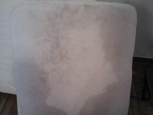 Mold on the bottom of a cushion