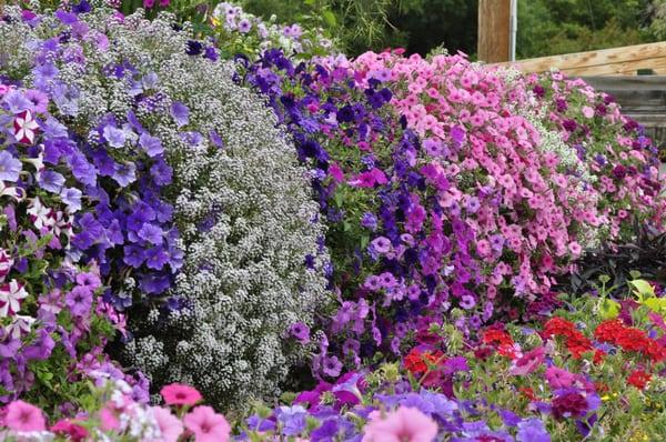 Gro-System Nursery Permanent Display