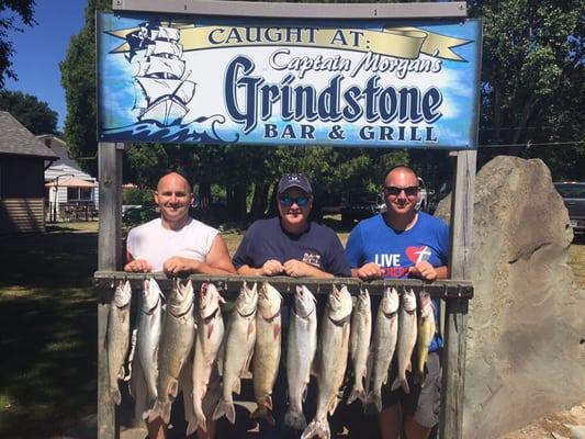 Lake trout, steelhead, and walleye