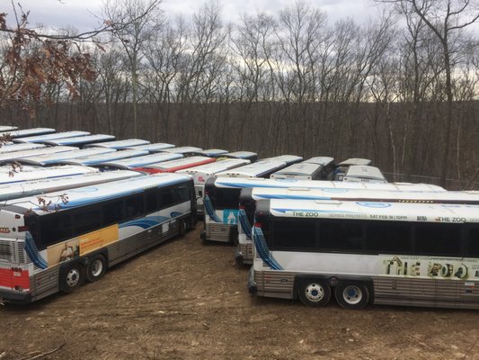 New England's #1 Source for used coach bus parts. We have over 150 coach buses in our inventory. All parts are available for purchase.