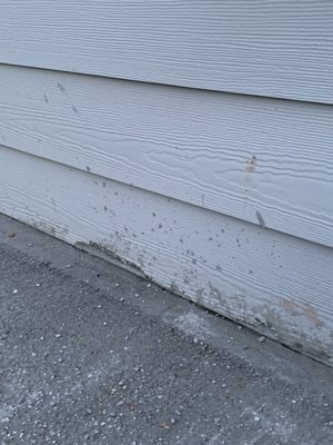 Concrete splatter that ruined my siding. I have to replace it