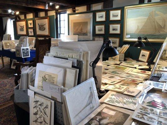 This is an interior shot of the Antique Prints & Maps Gallery at 12 Bowens Wharf Neeport. It is housed in a mid-18th century building.