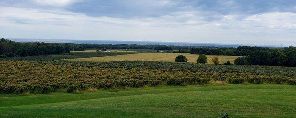 View from Back Porch at Noble Winery