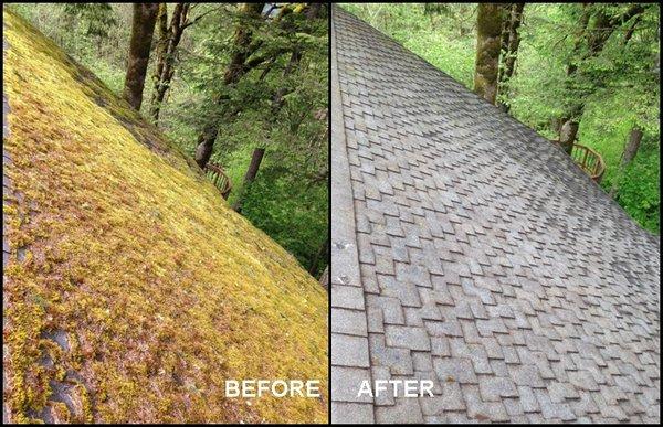 Roof Moss Removal